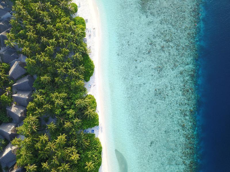 Fihalhohi Maldives Гурайдо
